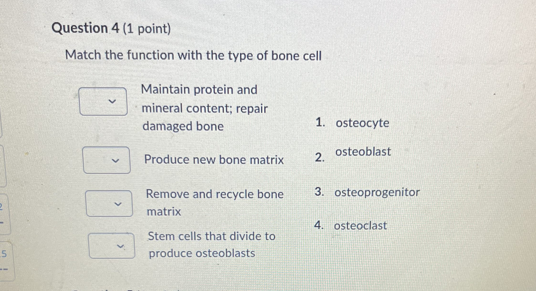 Solved Question Point Match The Function With The Type Chegg Com