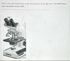 Solved What is the total magnification as this microscope is | Chegg.com