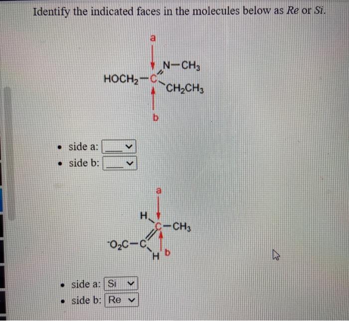 Solved Identify the indicated faces in the molecules below | Chegg.com