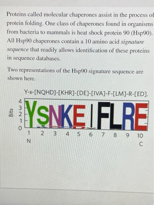 solved-proteins-called-molecular-chaperones-assist-in-the-chegg