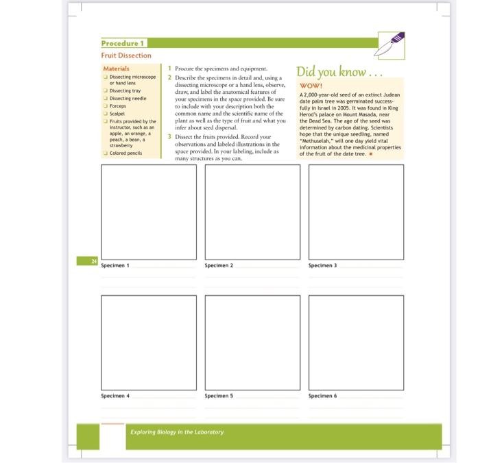 Did you know... Procedure 1 Fruit Dissection