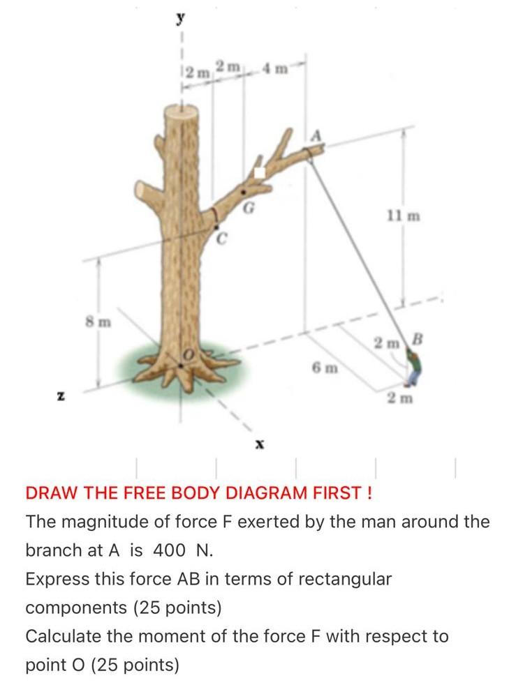Solved у 12 m 2 m 11 m 8 m 2 m B 6 m 2 m X DRAW THE FREE | Chegg.com