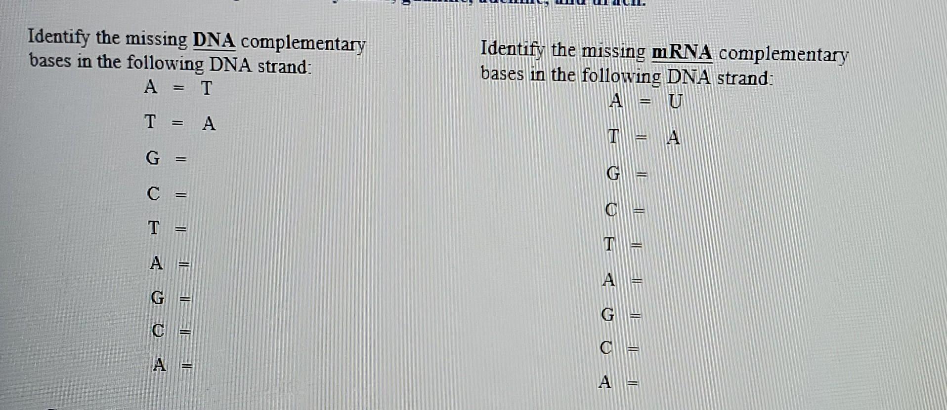 Solved Identify the missing DNA complementary bases in the