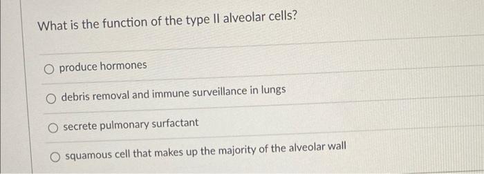 Solved What is the function of the type II alveolar cells? O | Chegg.com