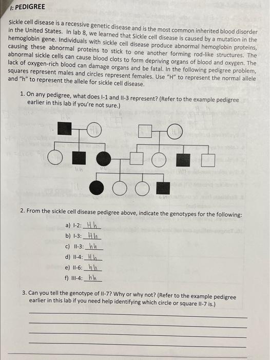 Solved 1 PEDIGREE Sickle cell disease is a recessive