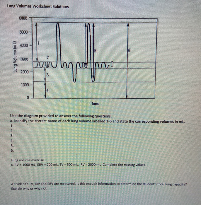 Solved Lung Volumes Worksheet Solutions 6000 5000 4000 GP | Chegg.com