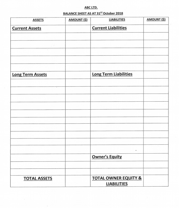 Solved Balance Sheet Instructions: Prepare A Balance Sheet | Chegg.com