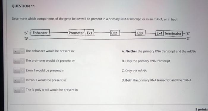 Solved QUESTION 10 The image below shows solutes on either