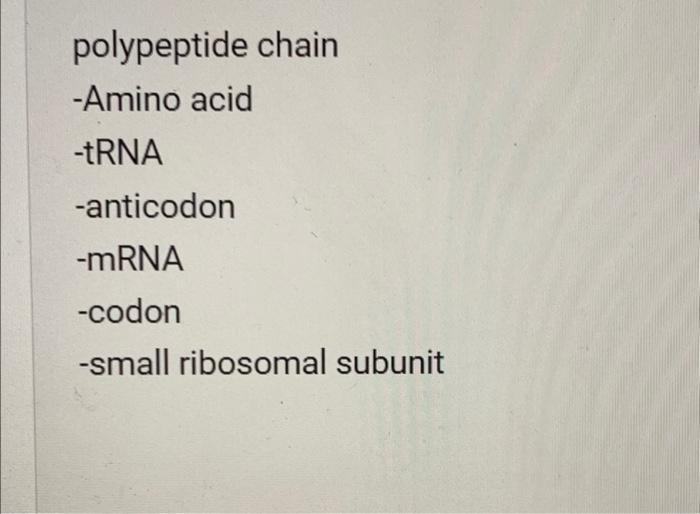 polypeptide chain -Amino acid -tRNA -anticodon \( -\mathrm{mRNA} \) -codon -small ribosomal subunit