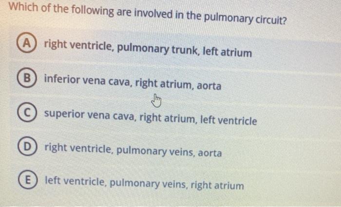 Which of the following are involved in the pulmonary circuit? A right ventricle, pulmonary trunk, left atrium B inferior vena