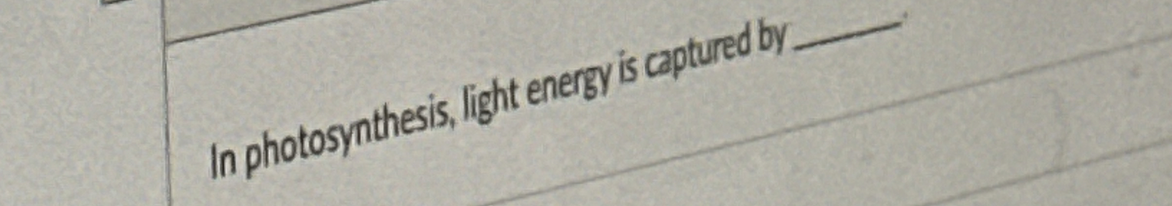 how is light energy captured during photosynthesis