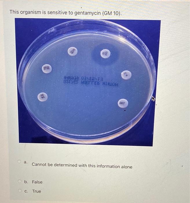 Solved What information does the Kirby-Bauer method provide? 