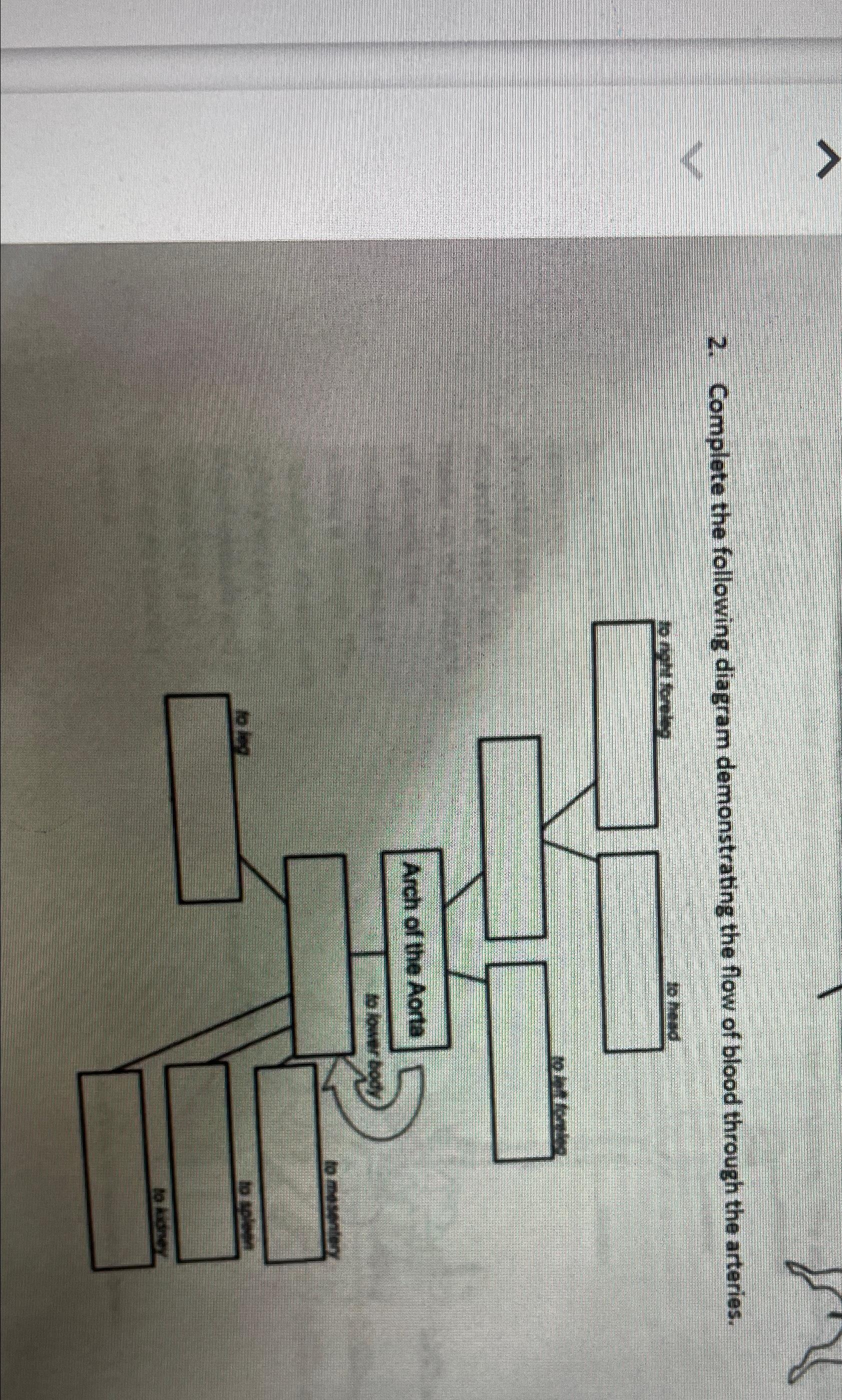 Solved Complete the following diagram demonstrating the flow | Chegg.com