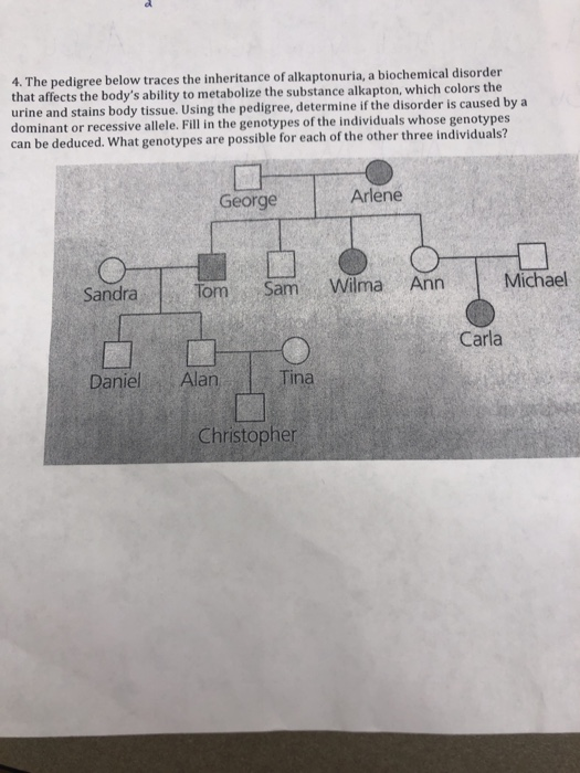 4 The Pedigree Below Traces The Inheritance Of Chegg 