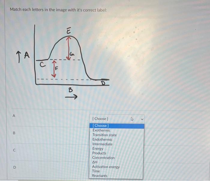 Solved Match each letters in the image with it's correct | Chegg.com