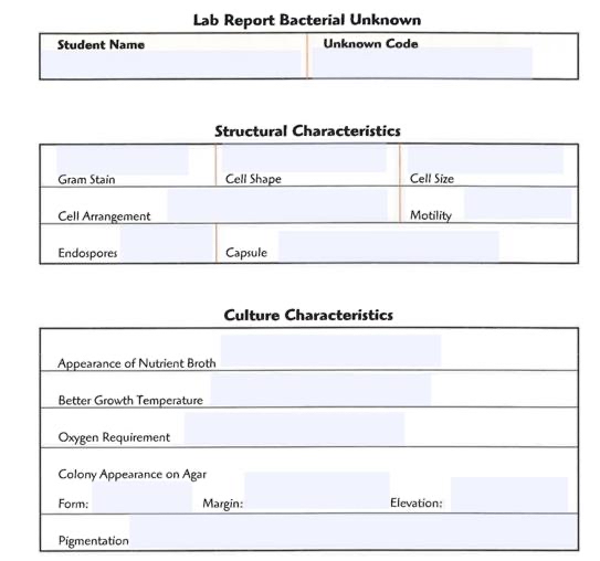 Solved Lab Report Bacterial Unknown\table[[Student | Chegg.com