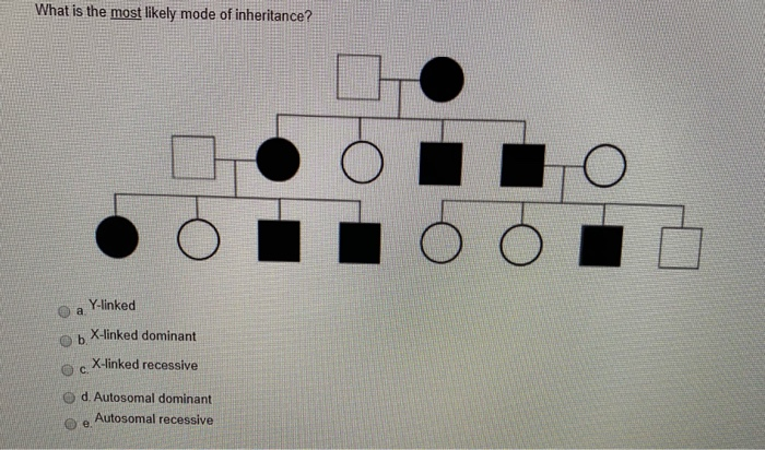 Solved Which Of The Statements About Inheritance Of Rare | Chegg.com