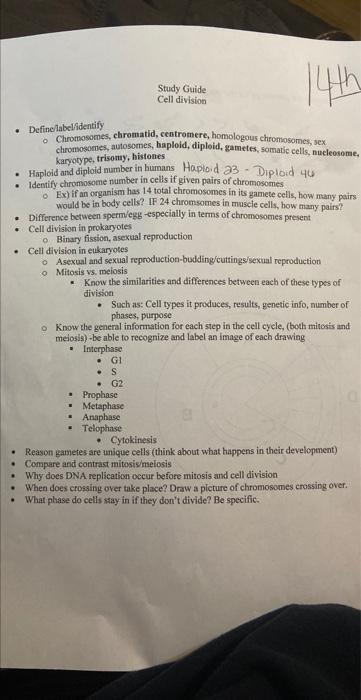 Solved - Definelabelídentify - Chromosomes, chromatid, | Chegg.com