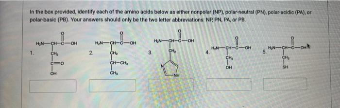Solved In the box provided, identify each of the amino acids | Chegg.com
