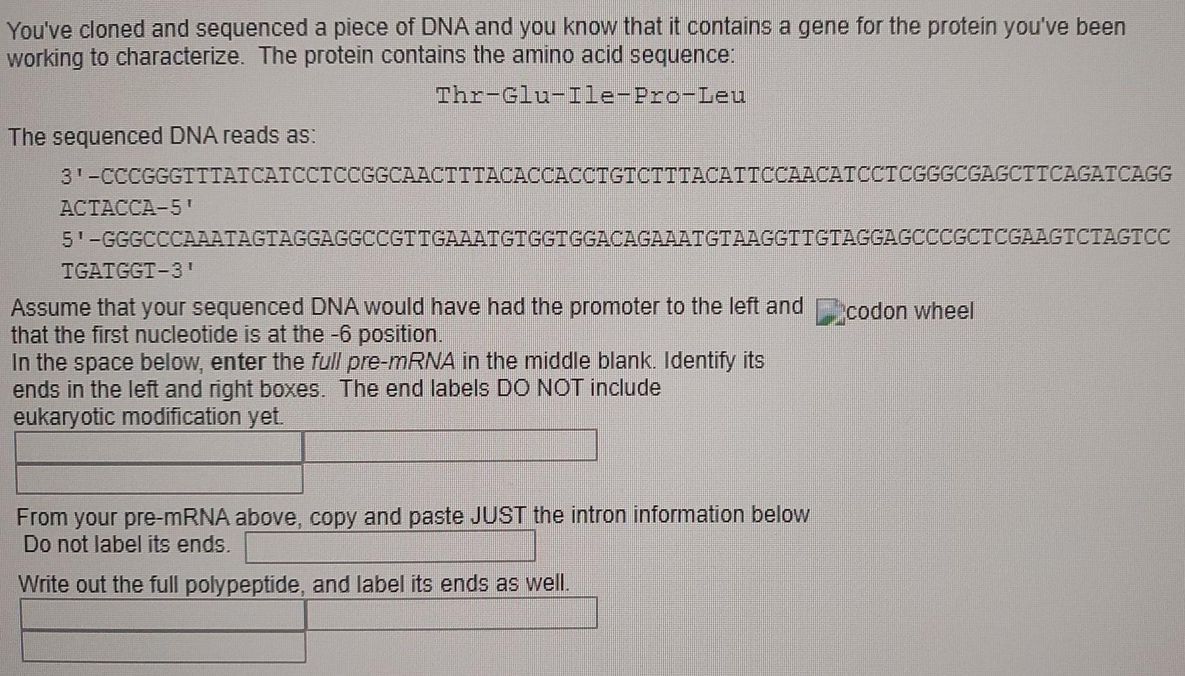 Solved You've cloned and sequenced a piece of DNA and you | Chegg.com