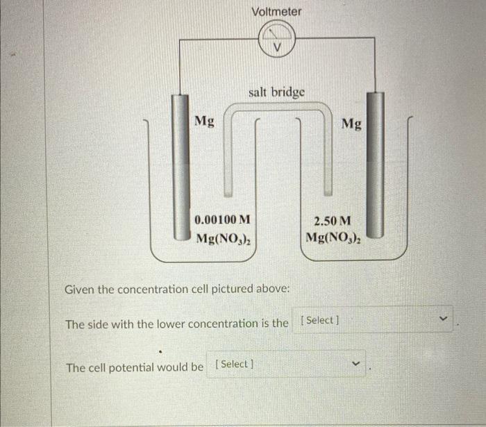 Solved Given the concentration cell pictured above: The side | Chegg.com