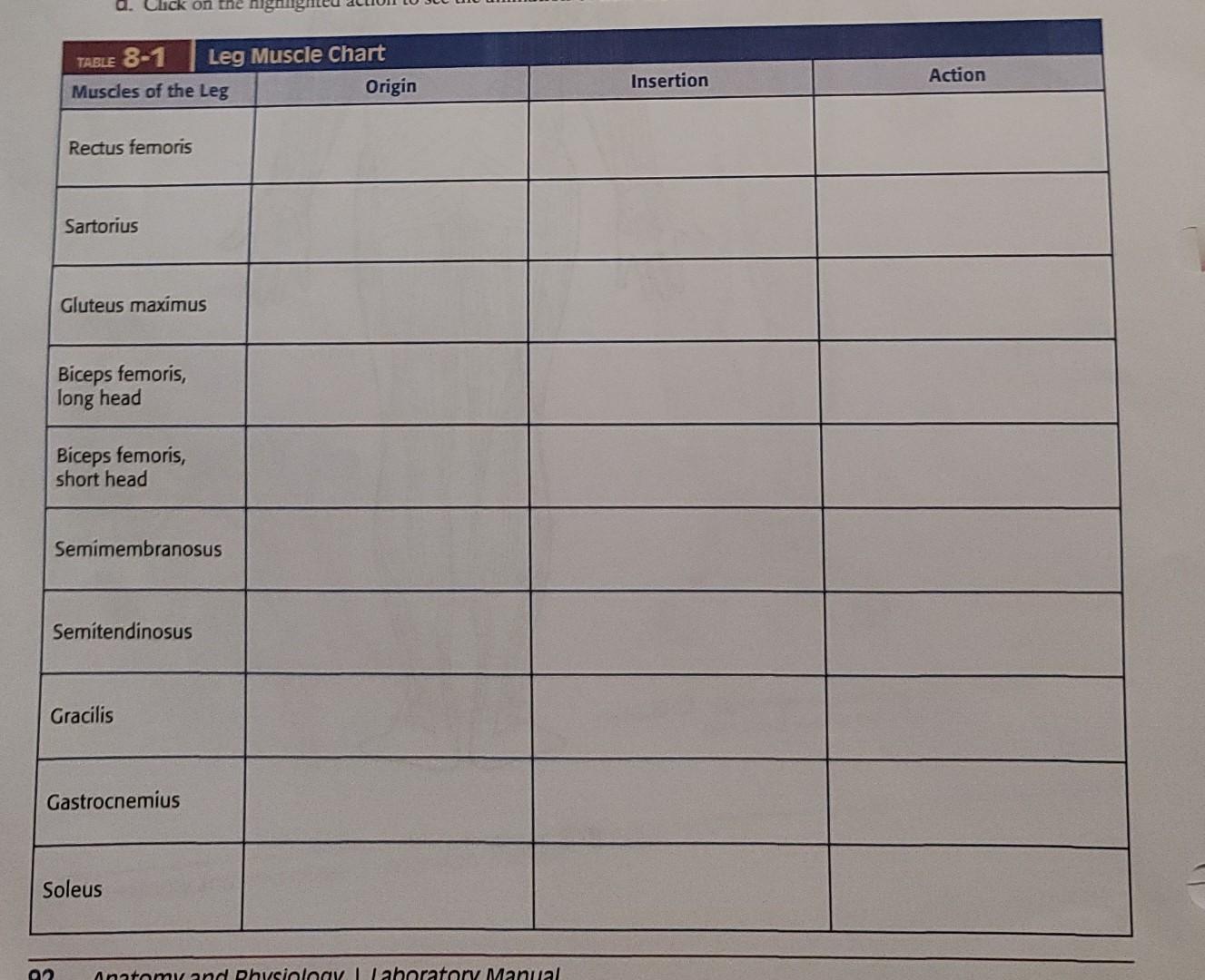 Solved d. Click on the highn TABLE 8-1 Leg Muscle Chart | Chegg.com