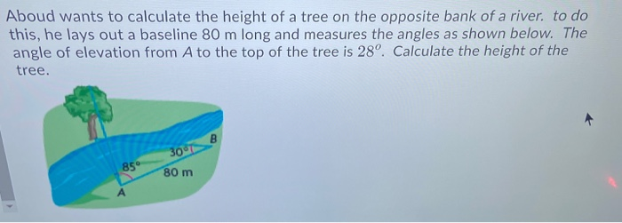 Solved Aboud Wants To Calculate The Height Of A Tree On The | Chegg.com