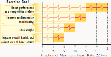 average heartbeat per minute