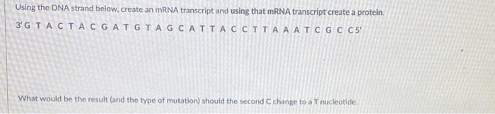 Solved Using the DNA strand below, create an mRNA transcript | Chegg.com