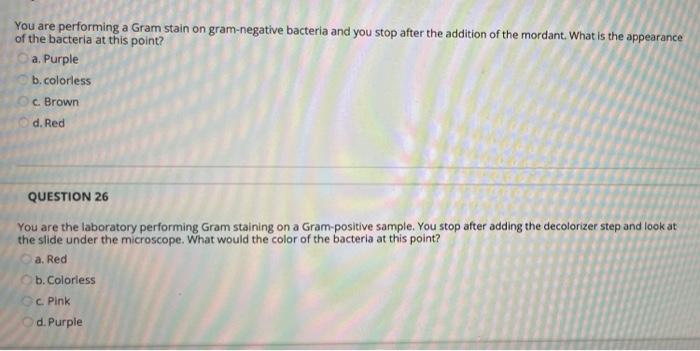 Solved You are performing a Gram stain on gram-negative | Chegg.com