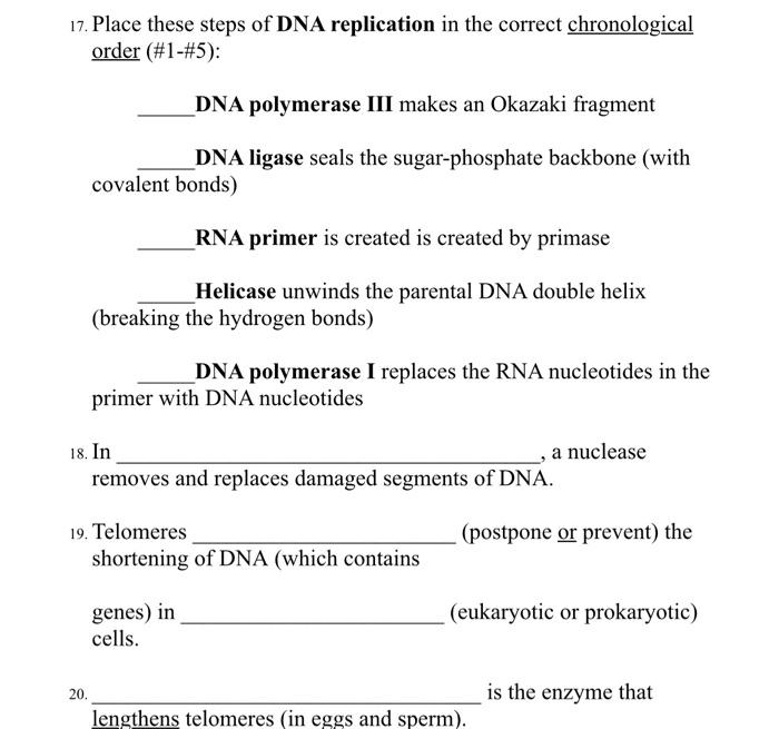 Solved 17. Place these steps of DNA replication in the | Chegg.com
