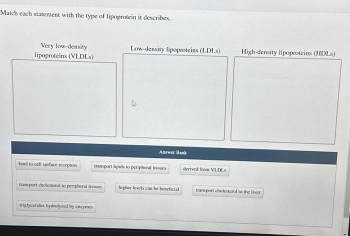 Solved Match each statement with the type of lipoprotein it | Chegg.com