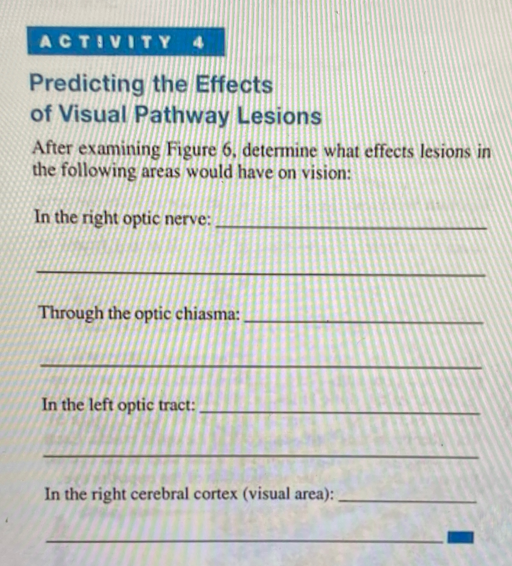 Solved Predicting the Effects of Visual Pathway LesionsAfter | Chegg.com