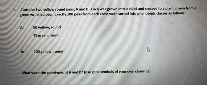 1. Consider two yellow round peas, A and B. Each was grown into a plant and crossed to a plant grown from a green wrinkled pe