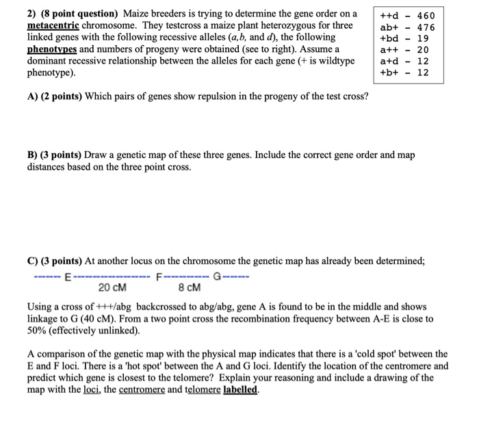 Solved 2) (8 point question) Maize breeders is trying to