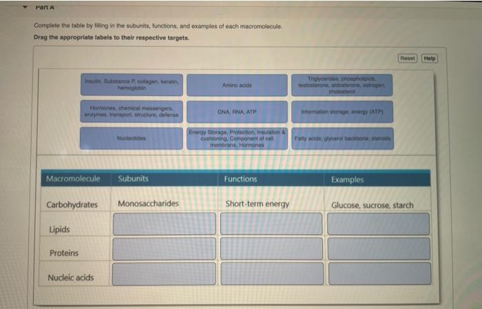 Solved Part A Complete the table by filling in the subunits, | Chegg.com