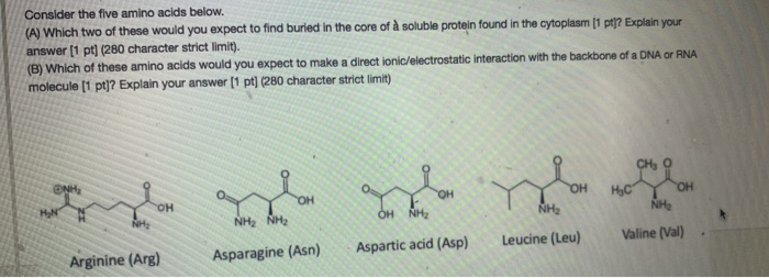 Solved Consider the five amino acids below. (A) Which two of | Chegg.com