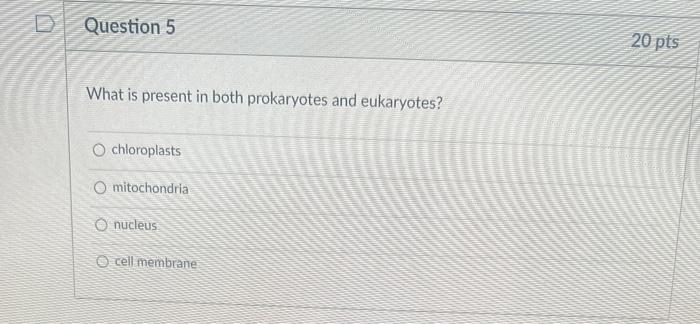 Solved What is present in both prokaryotes and eukaryotes? | Chegg.com