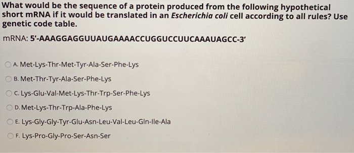 solved-what-would-be-the-sequence-of-a-protein-produced-from-chegg