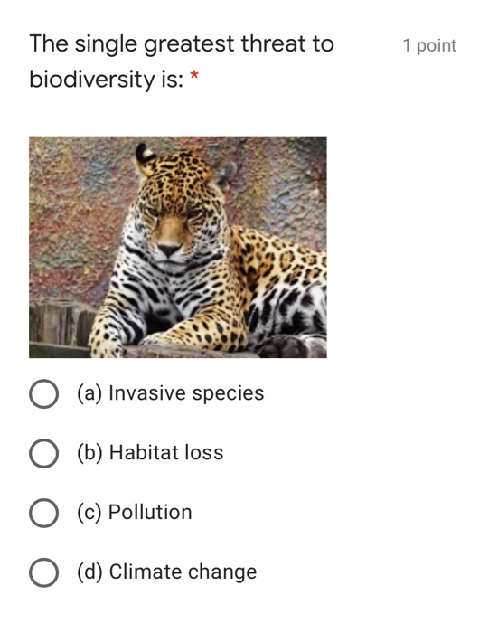 Solved 1 point The single greatest threat to biodiversity | Chegg.com