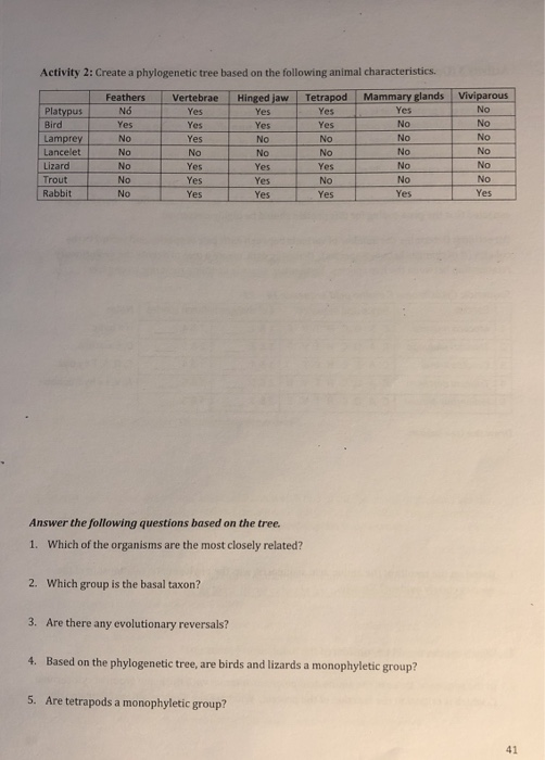 Solved Activity 2: Create a phylogenetic tree based on the | Chegg.com