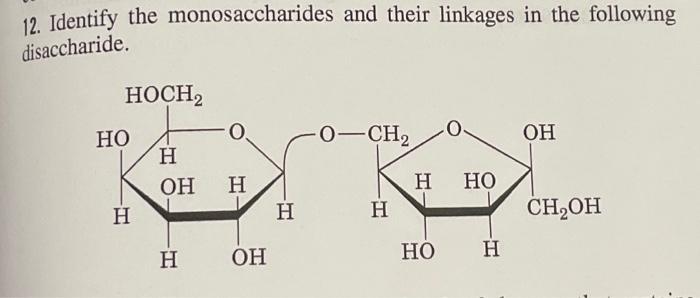 Solved 12 Identify The Monosaccharides And Their Linkages