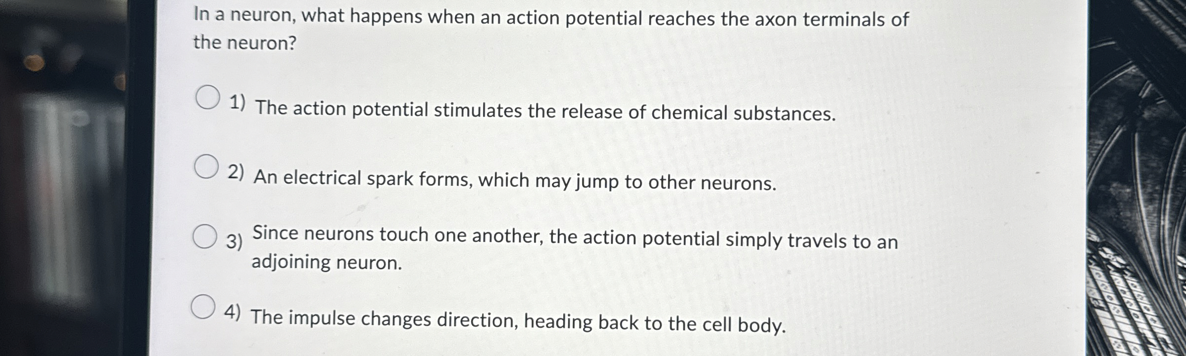 Solved In a neuron, what happens when an action potential