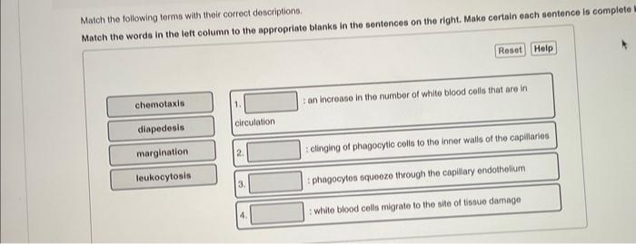 Solved Match The Following Terms With Their Correct | Chegg.com