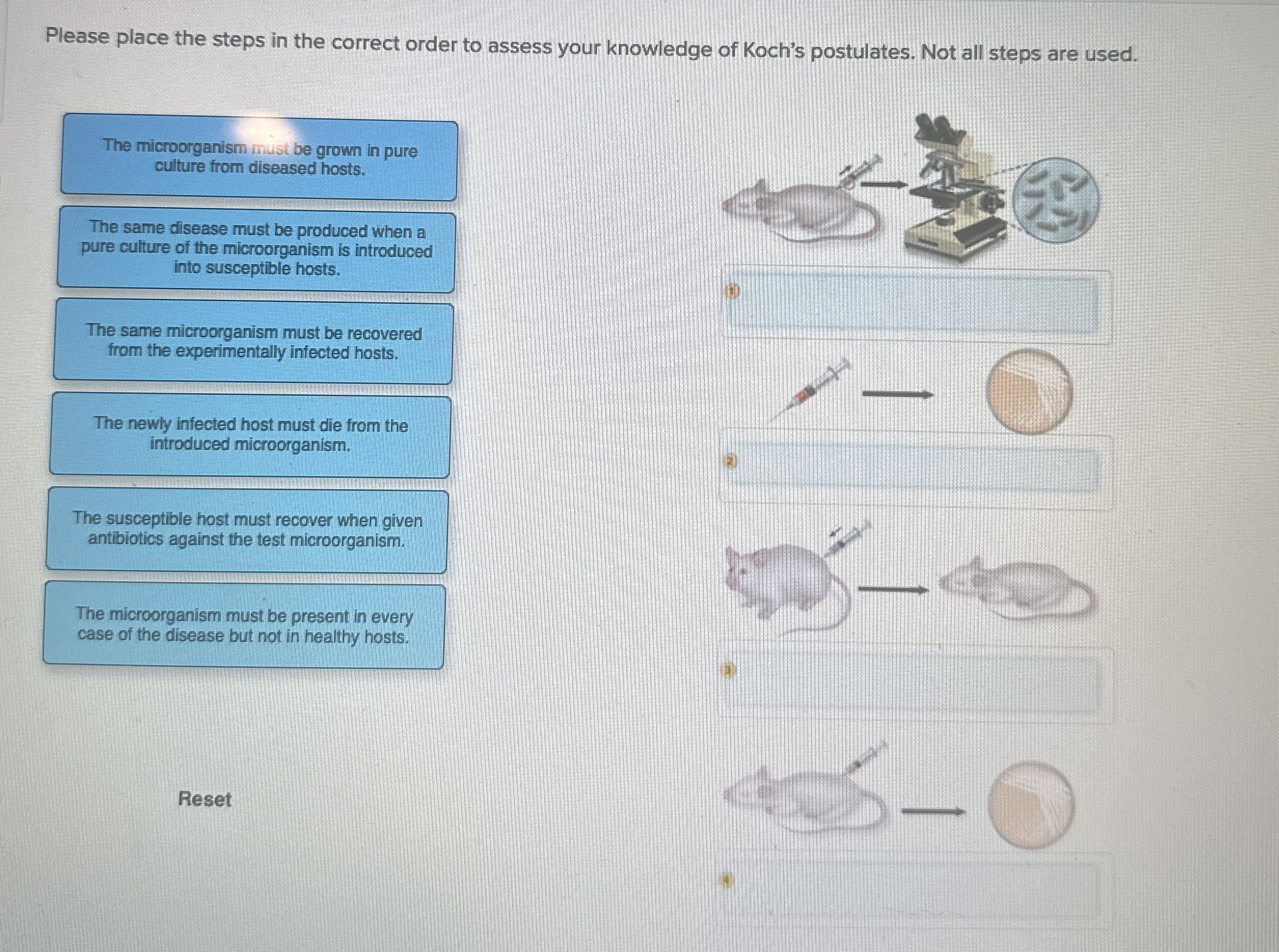 Solved Please place the steps in the correct order to assess | Chegg.com