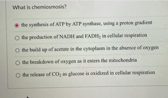 What is chemiosmosis?
the synthesis of ATP by ATP synthase, using a proton gradient the production of \( \mathrm{NADH} \) and