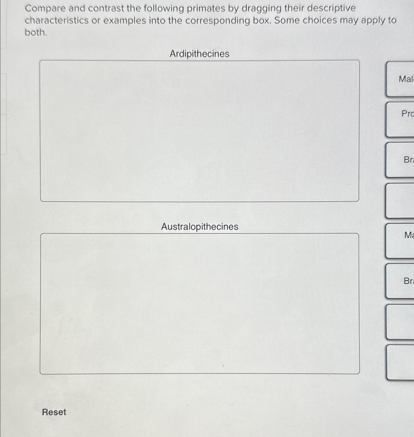 Solved Compare and contrast the following primates by | Chegg.com