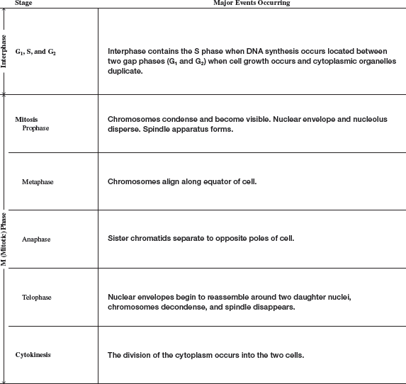 Chapter 7 Solutions | Laboratory Manual For Human Anatomy & Physiology