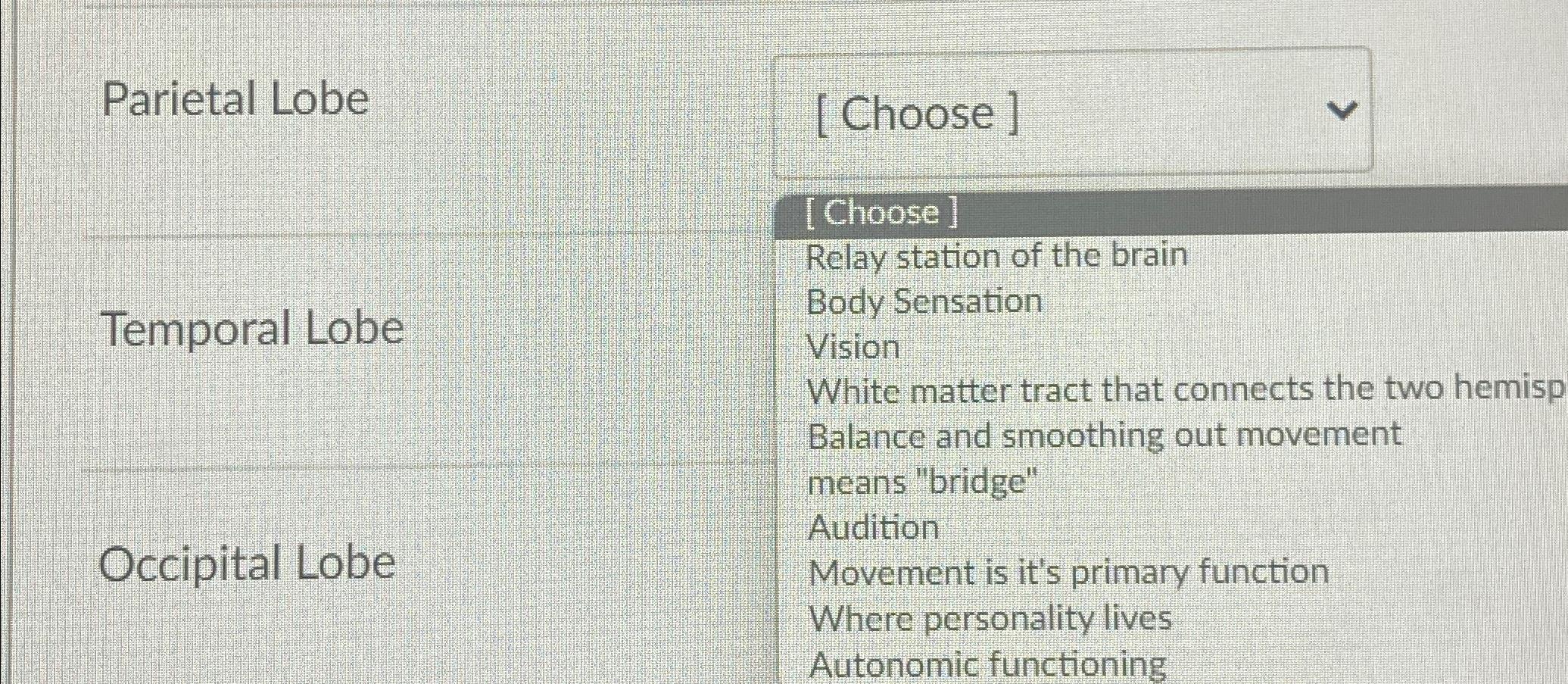 Solved Parietal Lobe[Choose]Relay station of the