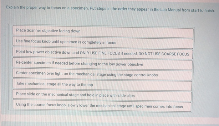 solved-explain-the-proper-way-to-focus-on-a-specimen-put-chegg